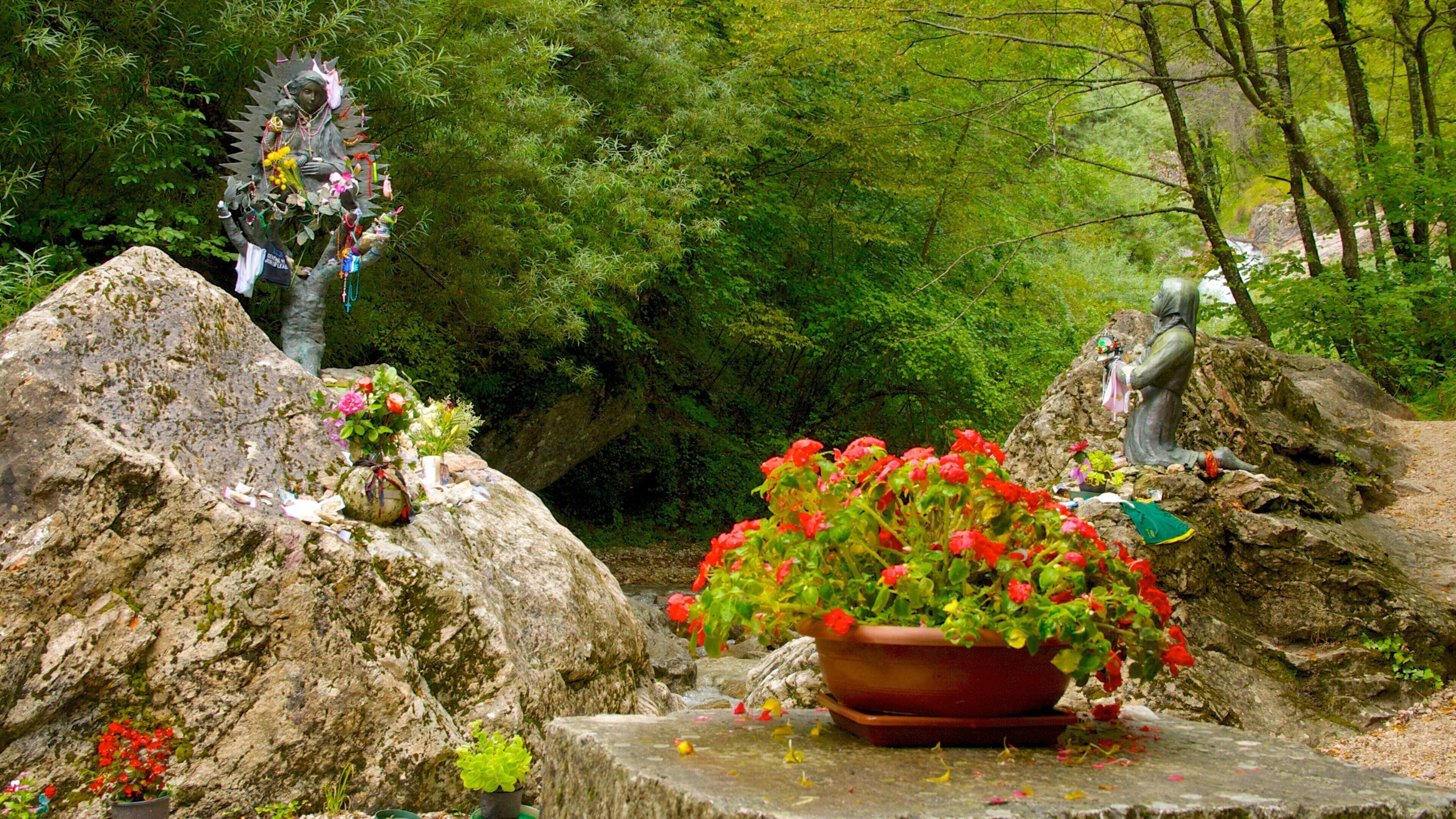 Montefortino showing forest scenes, religious aspects and flowers