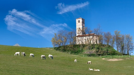 This is a photo of a monument which is part of cultural heritage of Italy. This monument participates in the contest Wiki Loves Monuments Italia 2014. See authorisations.