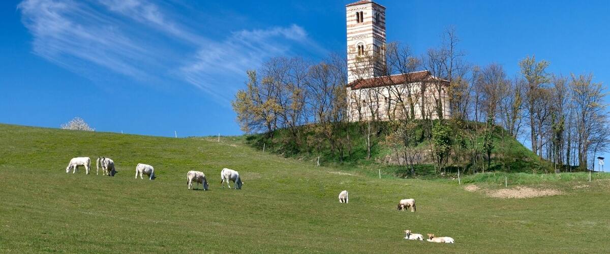 A historic building with a tower, surrounded by a grassy hill with grazing cows.
