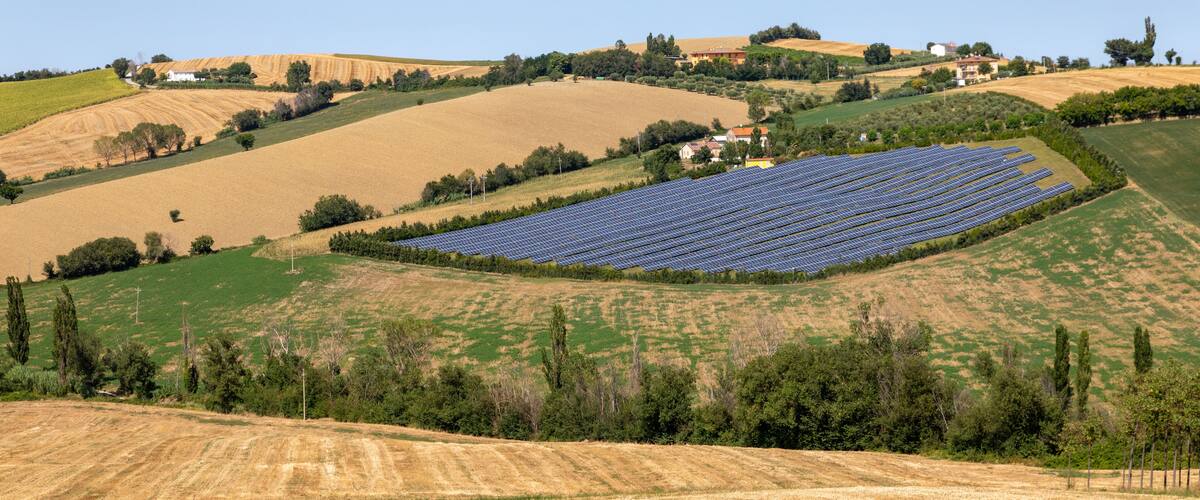 A solar farm in a hilly landscape with rolling fields and scattered trees.