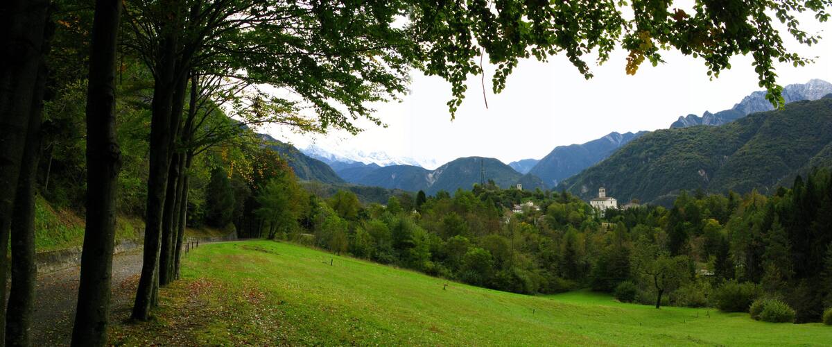 A lush green valley with a road, trees, and a mountain range in the background.