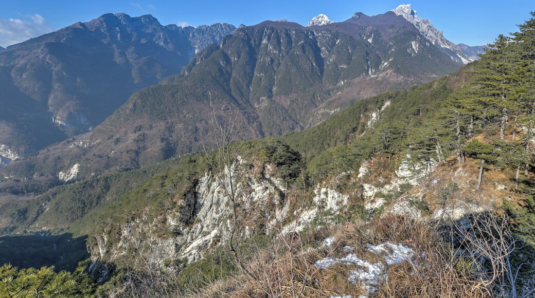 English: Creta Grauzaria (2.065m) in the Val d'Aupa in the Carnic Alps, community Moggio Udinese / Friuli-Venezia Giulia / Italy / EU.