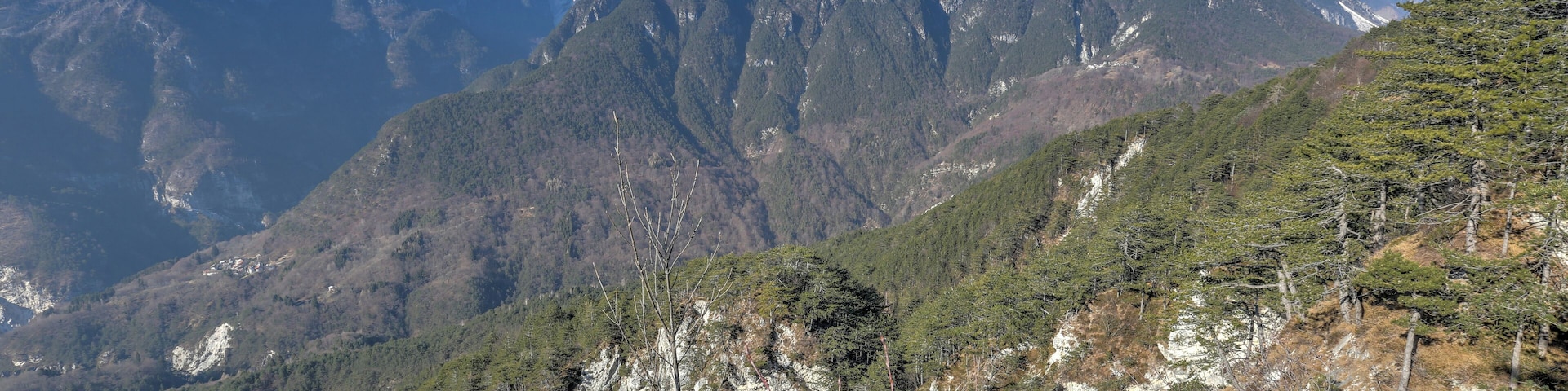 English: Creta Grauzaria (2.065m) in the Val d'Aupa in the Carnic Alps, community Moggio Udinese / Friuli-Venezia Giulia / Italy / EU.