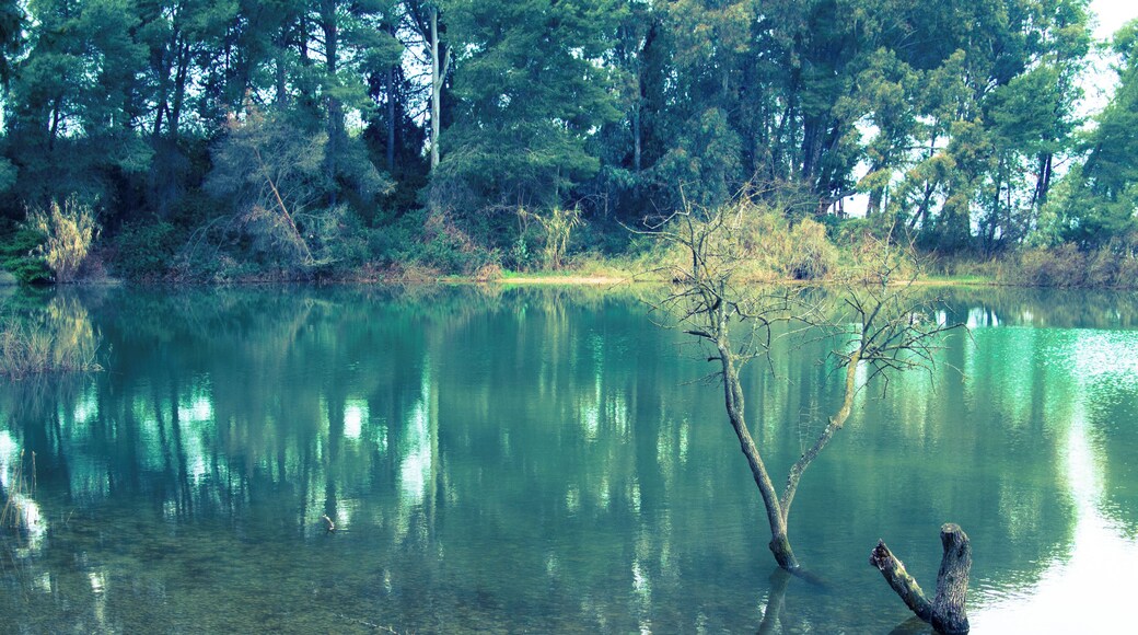 Lago di San Giuliano, Basilicata, Italy.