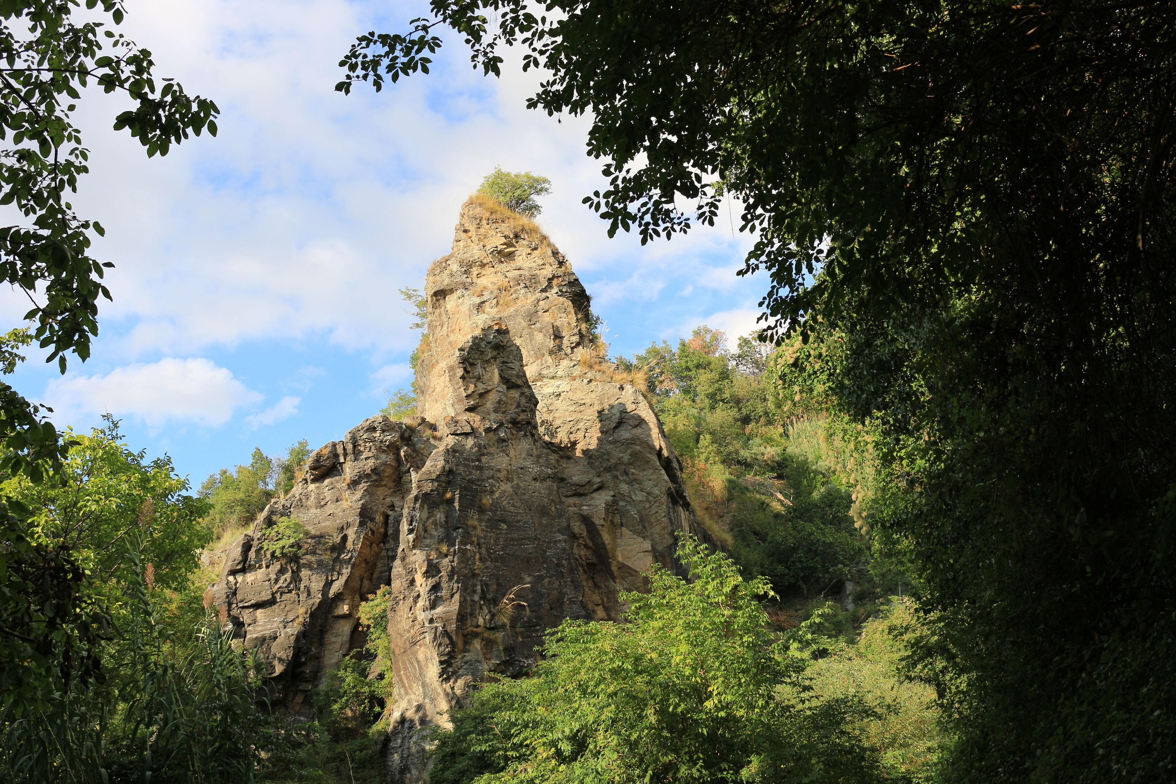 A rocky mountain peak surrounded by dense green foliage.