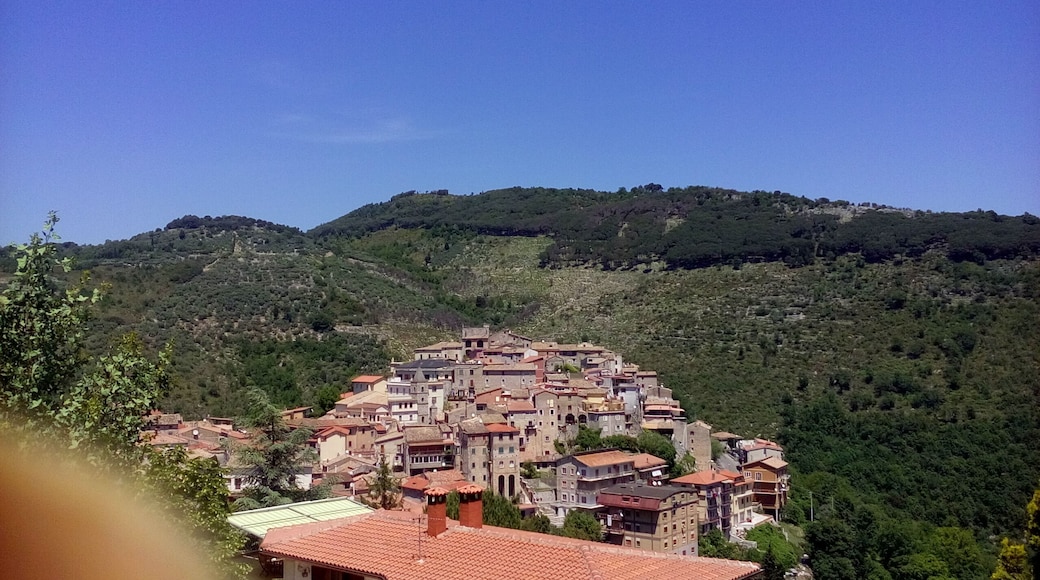 The town viewed from the "Colle" (the Hill)