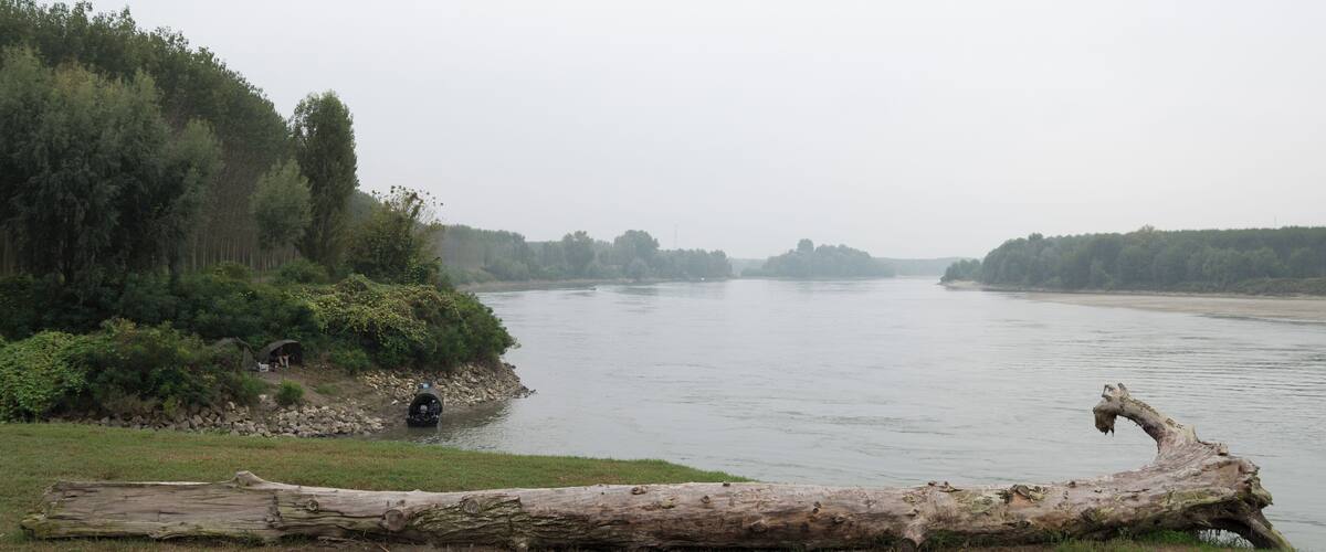 A river with a fallen tree trunk in the foreground, surrounded by dense forest and a cloudy sky.