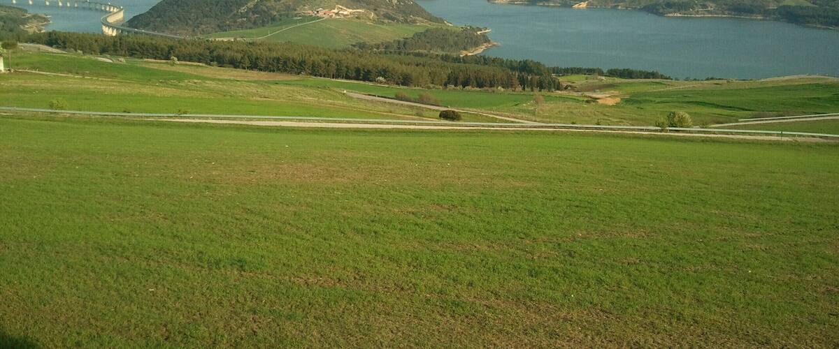 A green valley with a lake and a bridge.
