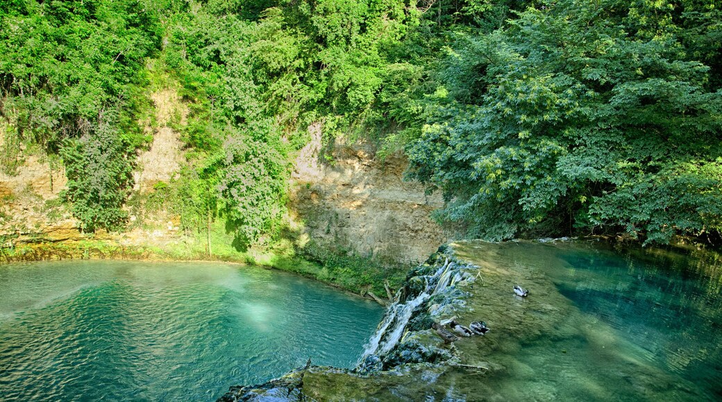 Cascate del Diborrato - Parco fluviale dell'Elsa
Inside the residential area of Colle Val d'Elsa is a historic and natural landscape of enormous value thanks to the Elsa River which crosses the Val d'Elsa creating a unique territory. The river creates enchanting corners for hiking and observing: the engineering works for gathering water, the artifical canal system for carrying the water to the city, the caves. A particularly suggestive point is the Diborrato water falls, a 15m jump which is more than 10m deep, a sort of small lake where the locals used to go to cool off. Other places not to miss are the Grotta dell'Orso, the Conchina, the Masso Bianco, the Nicchia and the Spianata dei Falchi, each with its own particularities. This natural richness has been recognized with the institution of a protected area in the River Park of the Upper Val d'Elsa which includes the path of the river from the city of Colle Val d'Elsa which stretches from Ponte Santa Giulia to Ponte di Spugna and includes the Caldane, thermal springs which were known to the Etruscans and Romans.