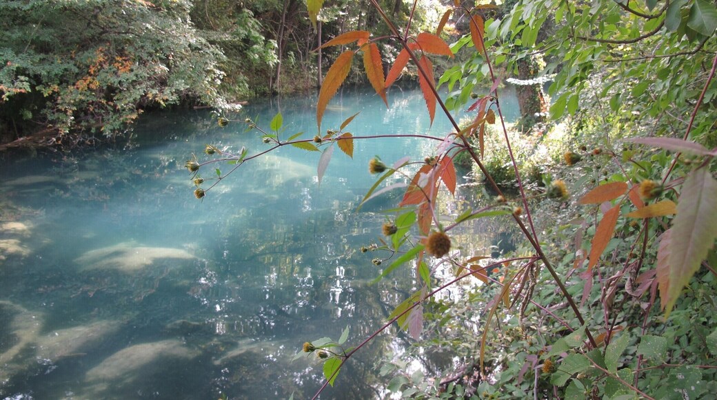 Blue river ... fantastic with green and yellow collors of landscape.