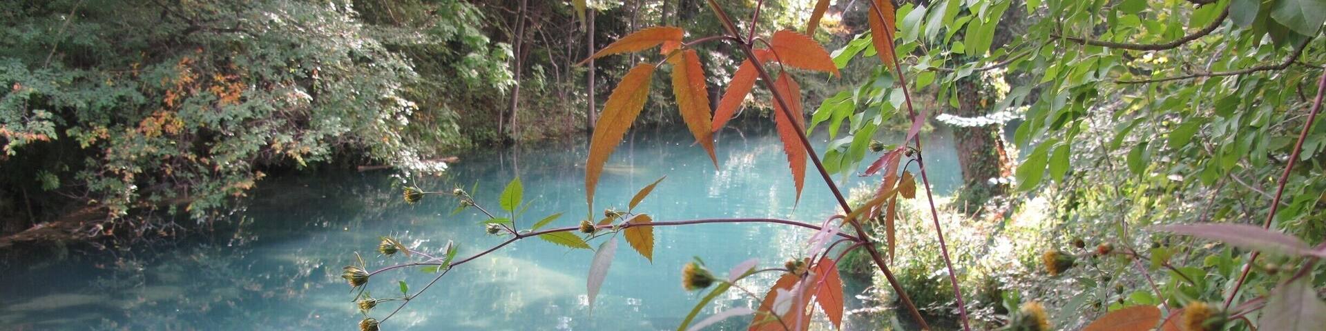 Blue river ... fantastic with green and yellow collors of landscape.