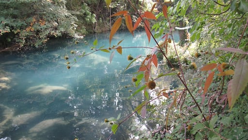 Blue river ... fantastic with green and yellow collors of landscape.