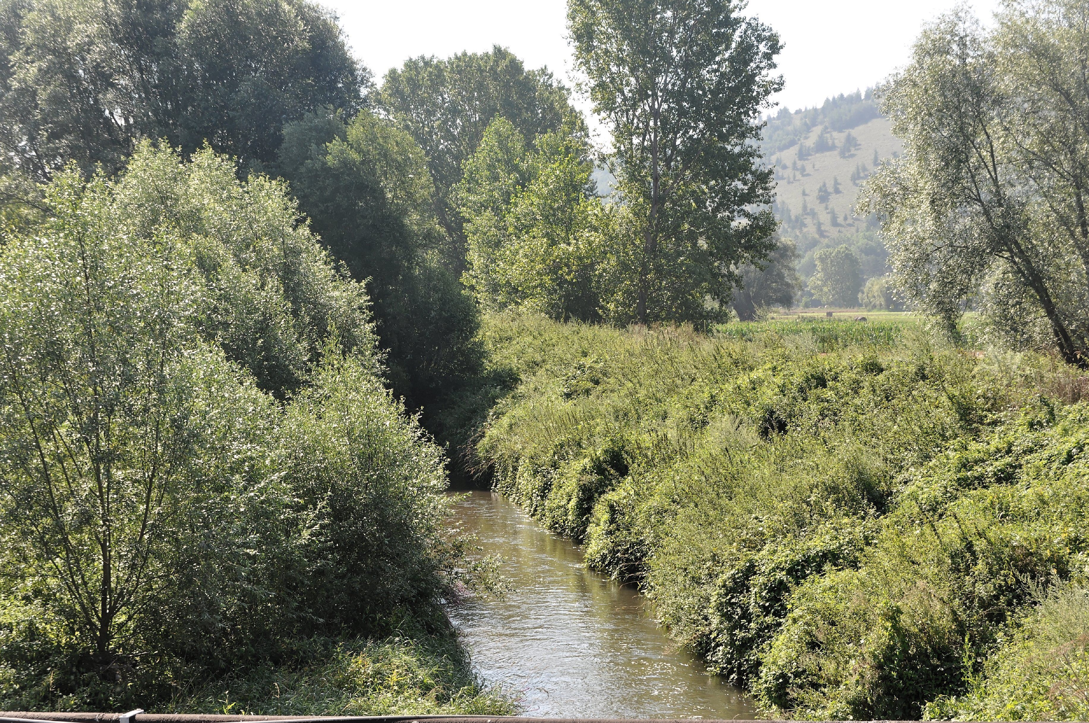 Fossa (Italy) 2013 Dieses Foto entstand in Zusammenarbeit mit Stadtbesichtigungen.de Die Seiten Stadtbesichtigungen.de, der dazugehörige Reise Blog sowie die Facebookseite: Stadtbesichtigungen Rom dürfen dieses Bild für Ihre Veröffentlichungen ohne den Hinweis auf Wikipedia, Commons bzw der Lizenz verwenden. Die Verantwortlichen habe von mir (Ra Boe) die Originaldaten zur freien Verfügung übermittelt bekommen.