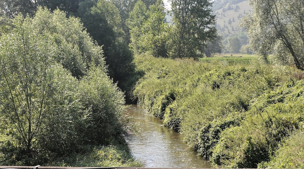 Fossa (Italy) 2013 Dieses Foto entstand in Zusammenarbeit mit Stadtbesichtigungen.de Die Seiten Stadtbesichtigungen.de, der dazugehörige Reise Blog sowie die Facebookseite: Stadtbesichtigungen Rom dürfen dieses Bild für Ihre Veröffentlichungen ohne den Hinweis auf Wikipedia, Commons bzw der Lizenz verwenden. Die Verantwortlichen habe von mir (Ra Boe) die Originaldaten zur freien Verfügung übermittelt bekommen.