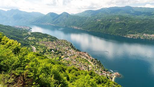 ์์๋
ธ ๋ผ๋ฆฌ์ค