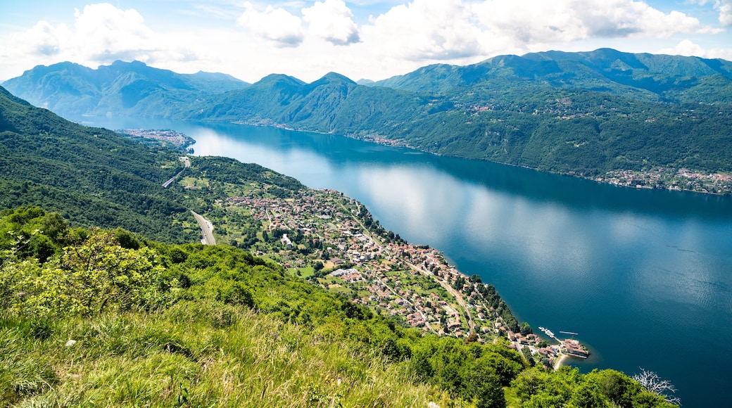 ์์๋
ธ ๋ผ๋ฆฌ์ค