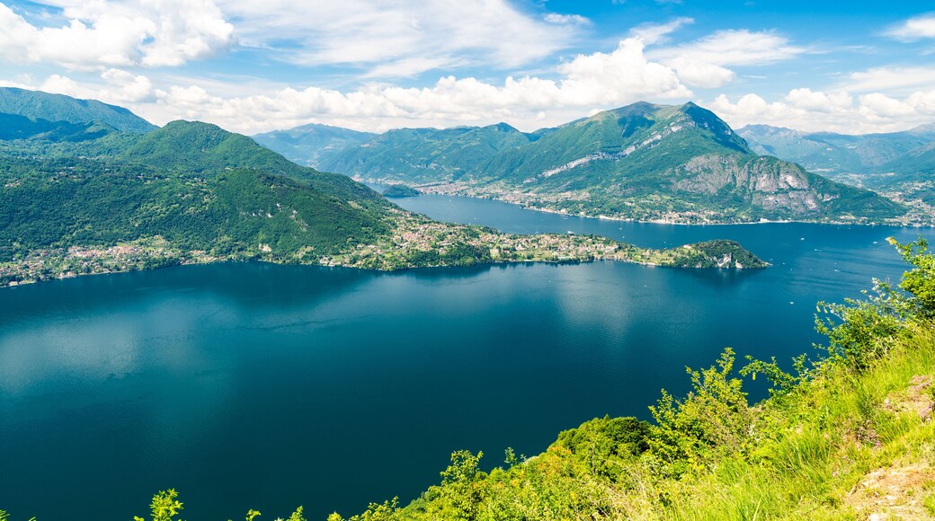 ์์๋
ธ ๋ผ๋ฆฌ์ค