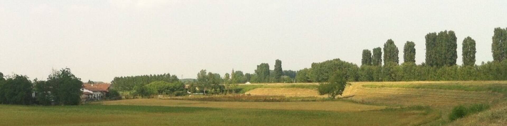 #countryside #green #mantova #campagna #campi #verde #primavera #spring