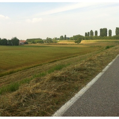 #countryside #green  #mantova #campagna #campi #verde #primavera #spring