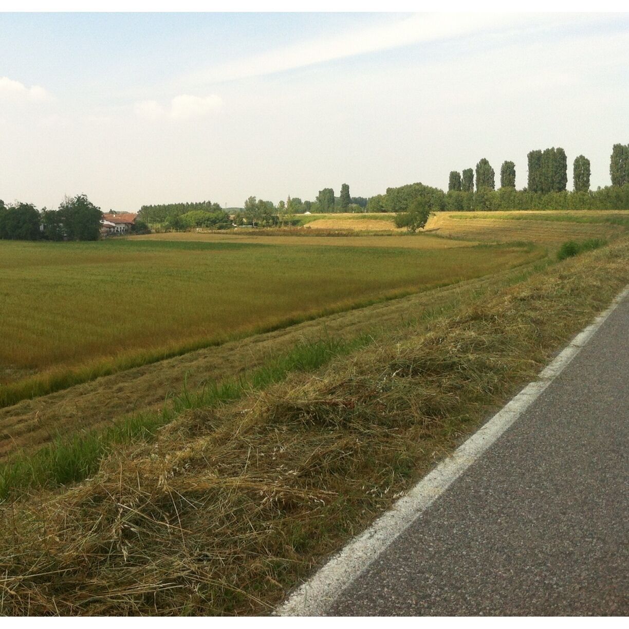 A rural landscape with fields, a road, and distant trees.