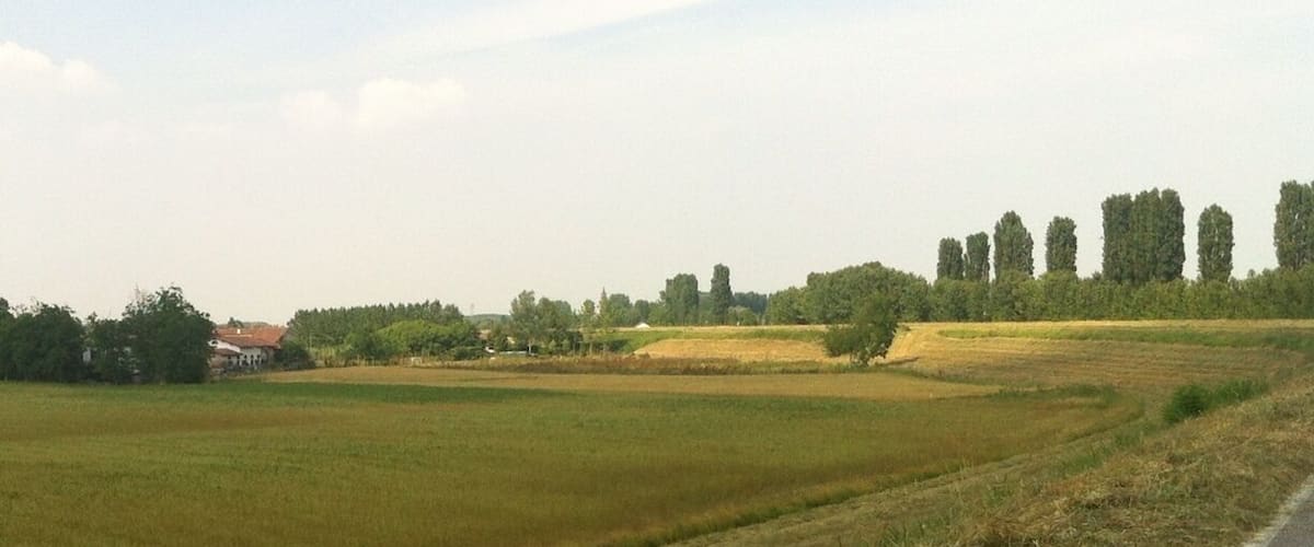 A rural landscape with fields, a road, and distant trees.