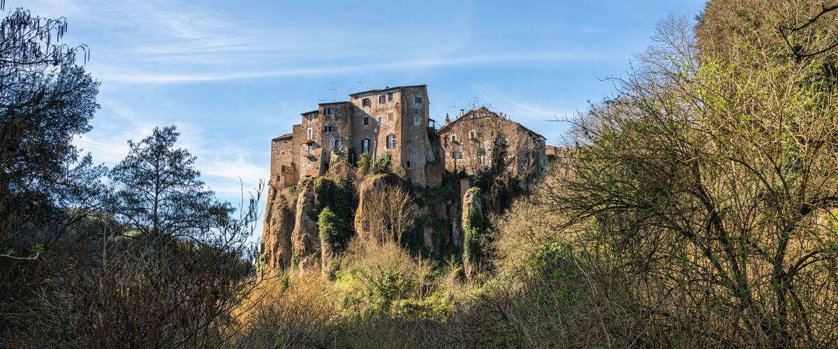 A historic stone castle on a hill surrounded by dense forest.