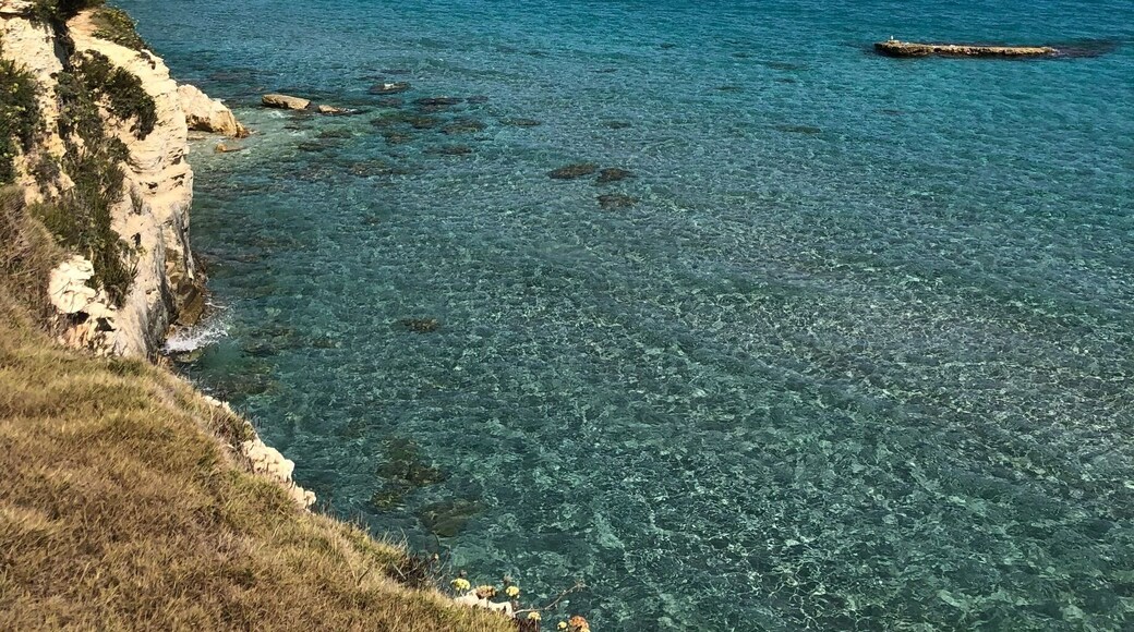 Love this place ♥️