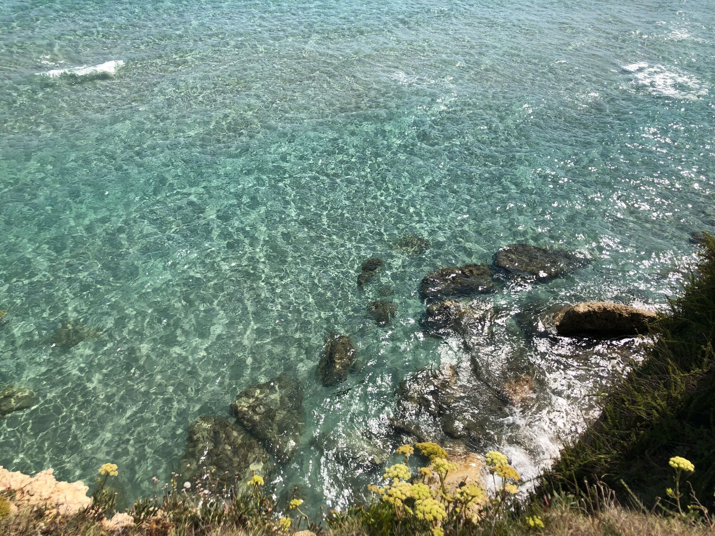 Clear turquoise water, rocky shoreline, and yellow wildflowers.