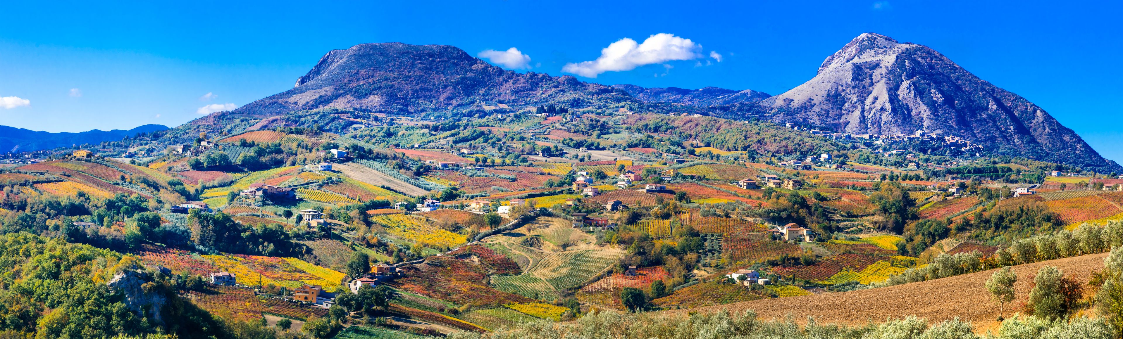 A mountainous landscape with vineyards and scattered houses.