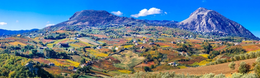A mountainous landscape with vineyards and scattered houses.