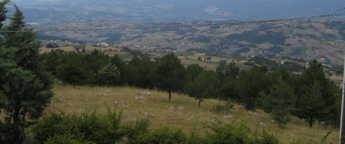 A mountainous landscape with rolling hills, scattered trees, and a distant view of a valley.