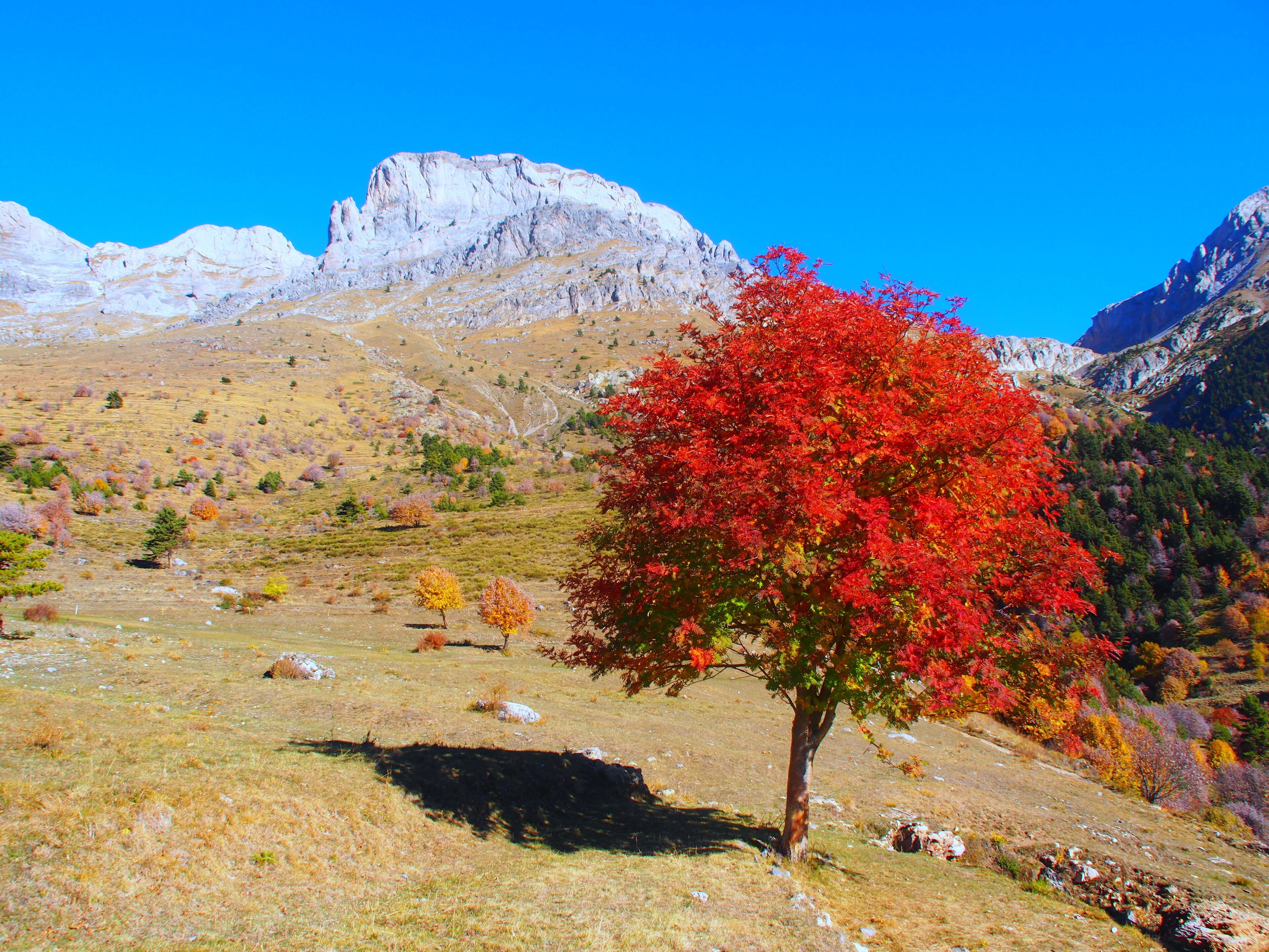Parco naturale del Marguareis (Q1533952)
