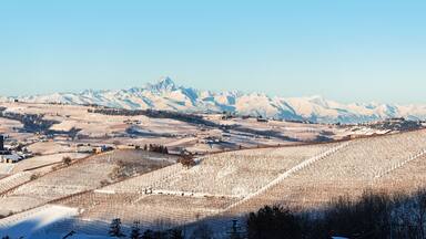 A snow-covered vineyard with a castle in the background.