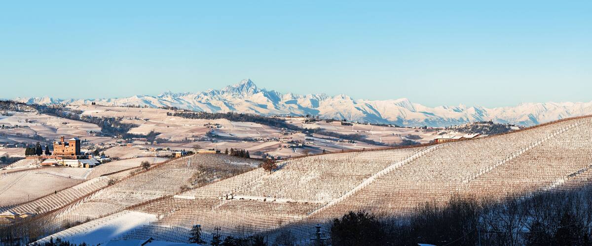 A snow-covered vineyard with a castle in the background.