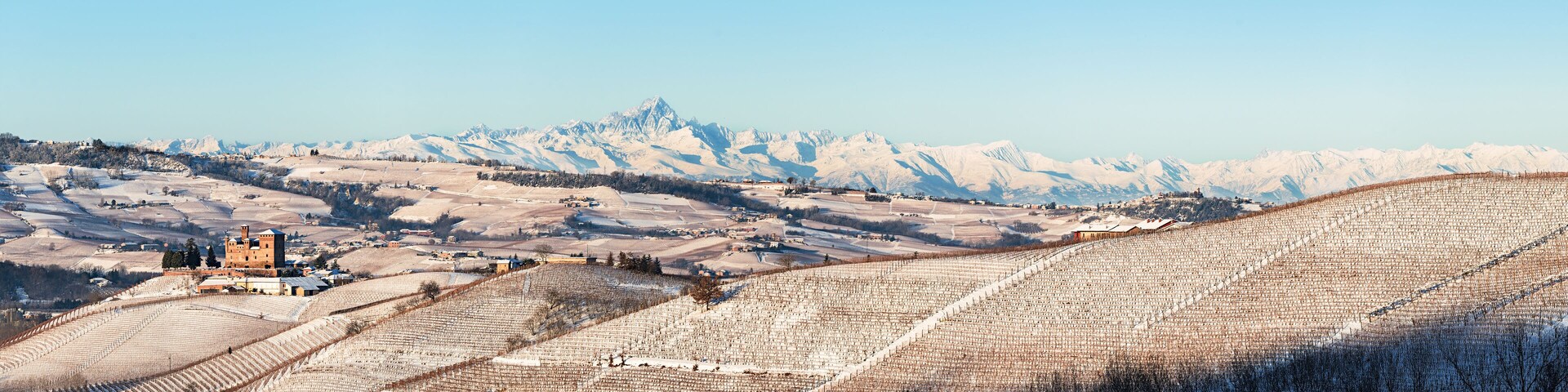 A snow-covered vineyard with a castle in the background.