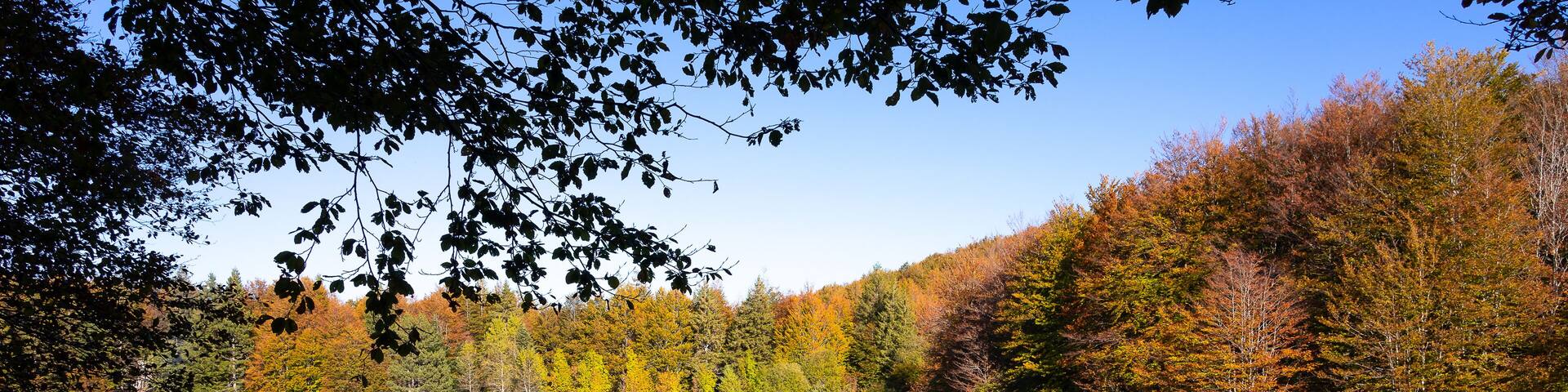 Cerreto Laghi, Emilia Romagna. Beech forest in autumn reflected in the lake water. Autumn colors