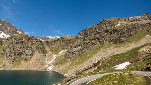 チェレゾーレ・レアーレ