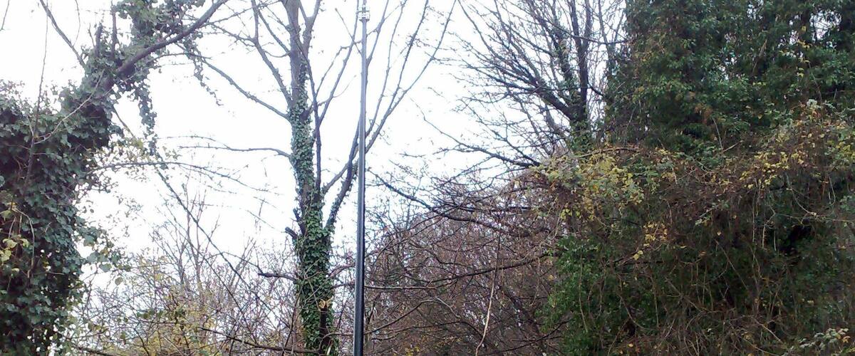 A narrow, leaf-covered path in a wooded area with dense trees and a metal pole.
