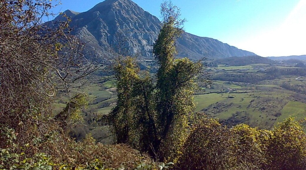 Monte Alpi (1)