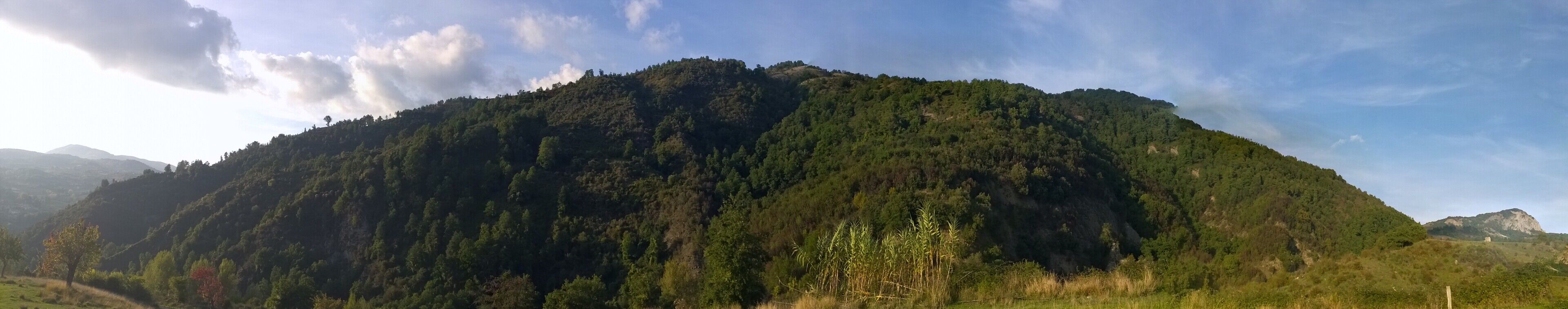 A mountain with dense forest coverage and a clear sky.