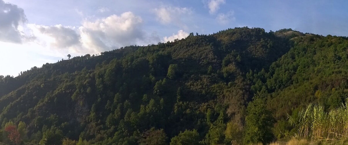 A mountain with dense forest coverage and a clear sky.