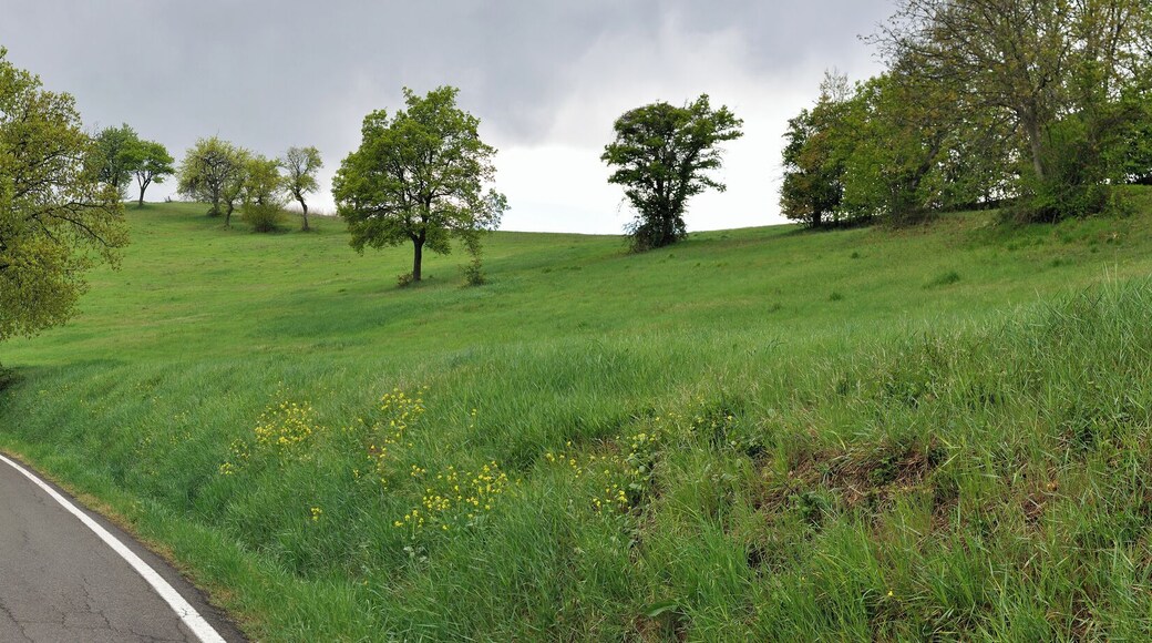 Via Monte Evangelo - Castellarano (RE) Italia - 8 Aprile 2012