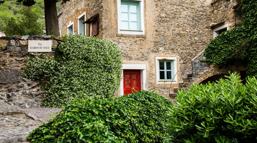 Colletta di Castelbianco in Liguria