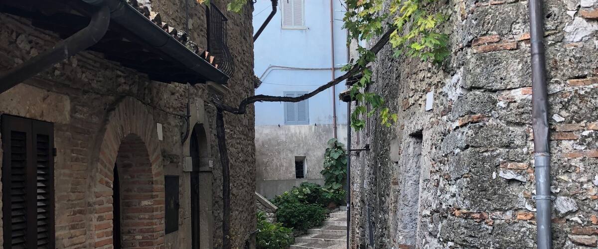 A narrow cobblestone alley flanked by stone buildings with arched doorways and a cat walking down the path.