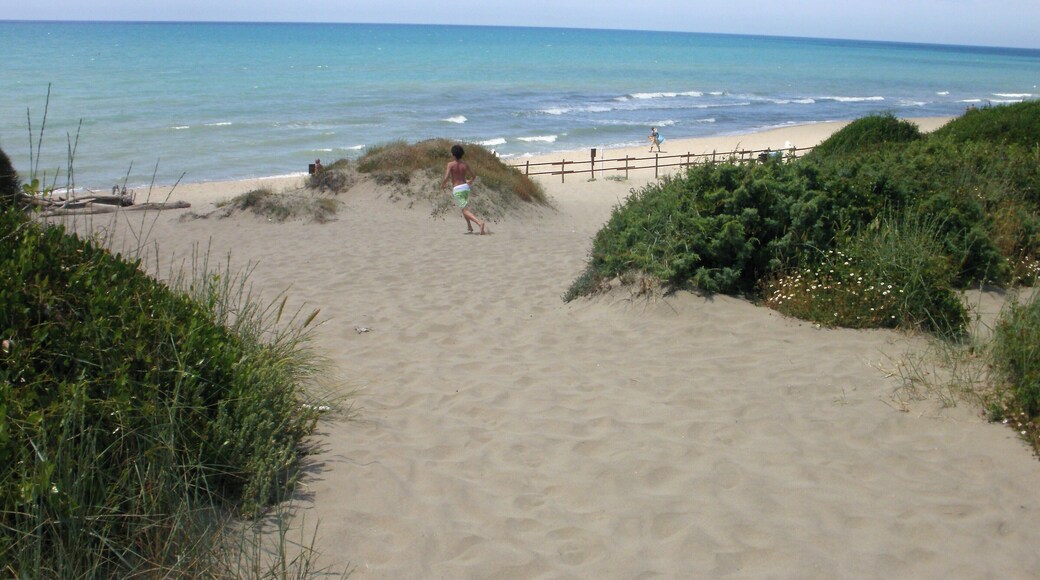 Spiaggia di Capocotta