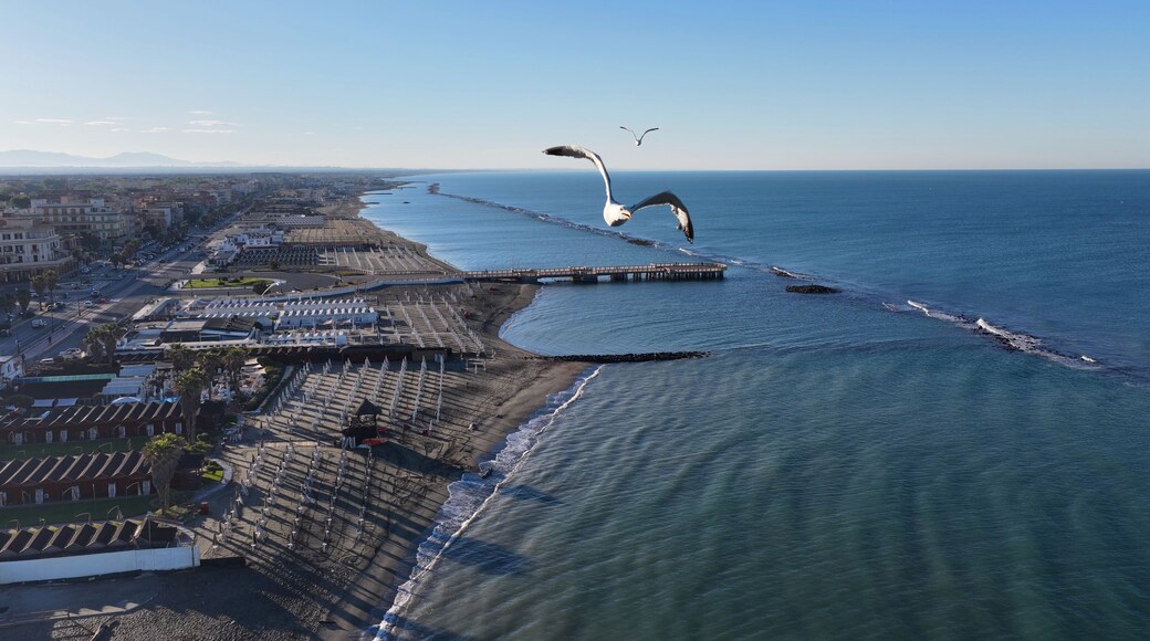 Un paisaje urbano costero con playa, un muelle y una gaviota volando.