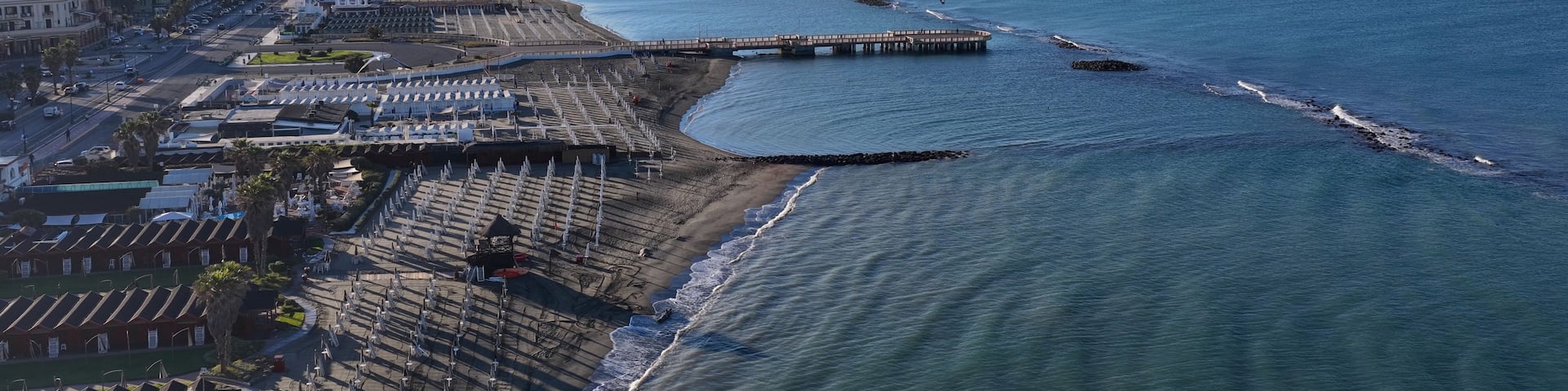 A coastal cityscape with a beach, a pier, and a seagull in flight.