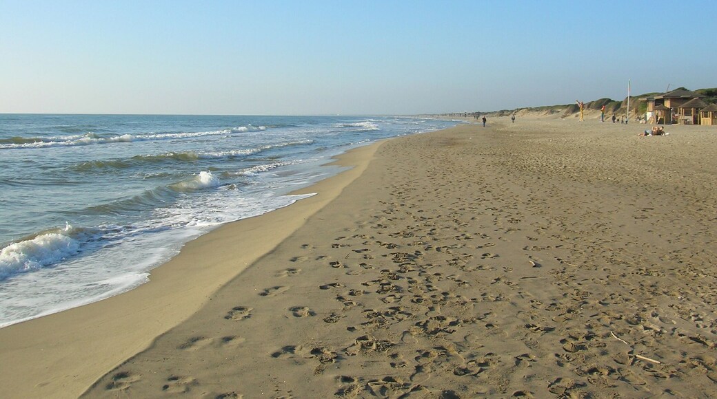 Spiaggia di Capocotta, Riserva naturale Litorale Romano, Ostia, Roma.
