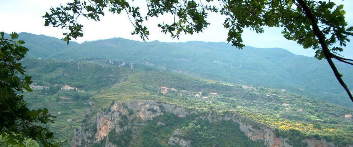 A mountainous landscape with dense green forests and scattered buildings.