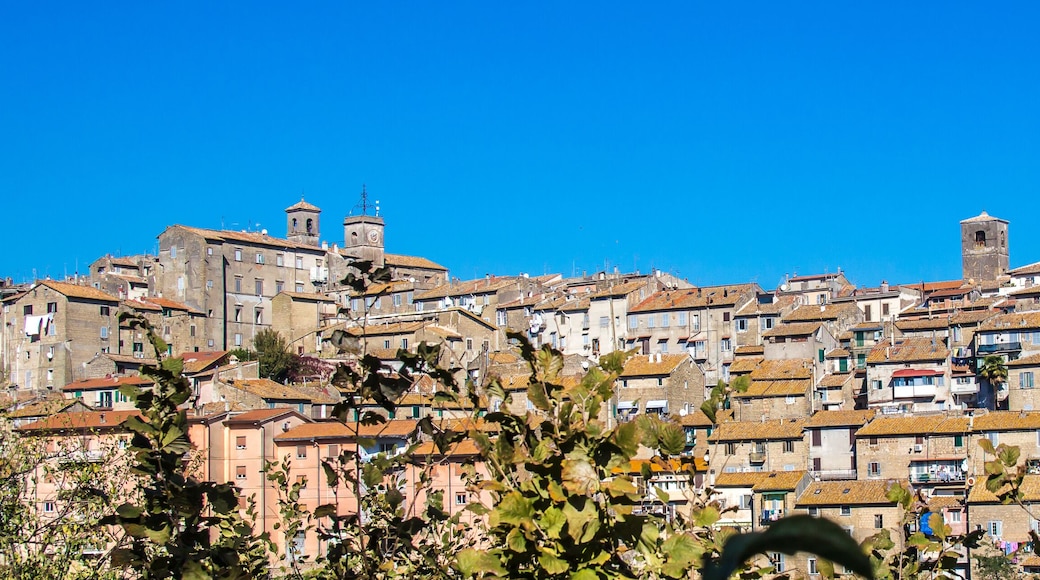 Cityscape of Caprarola, a town in central Italy.